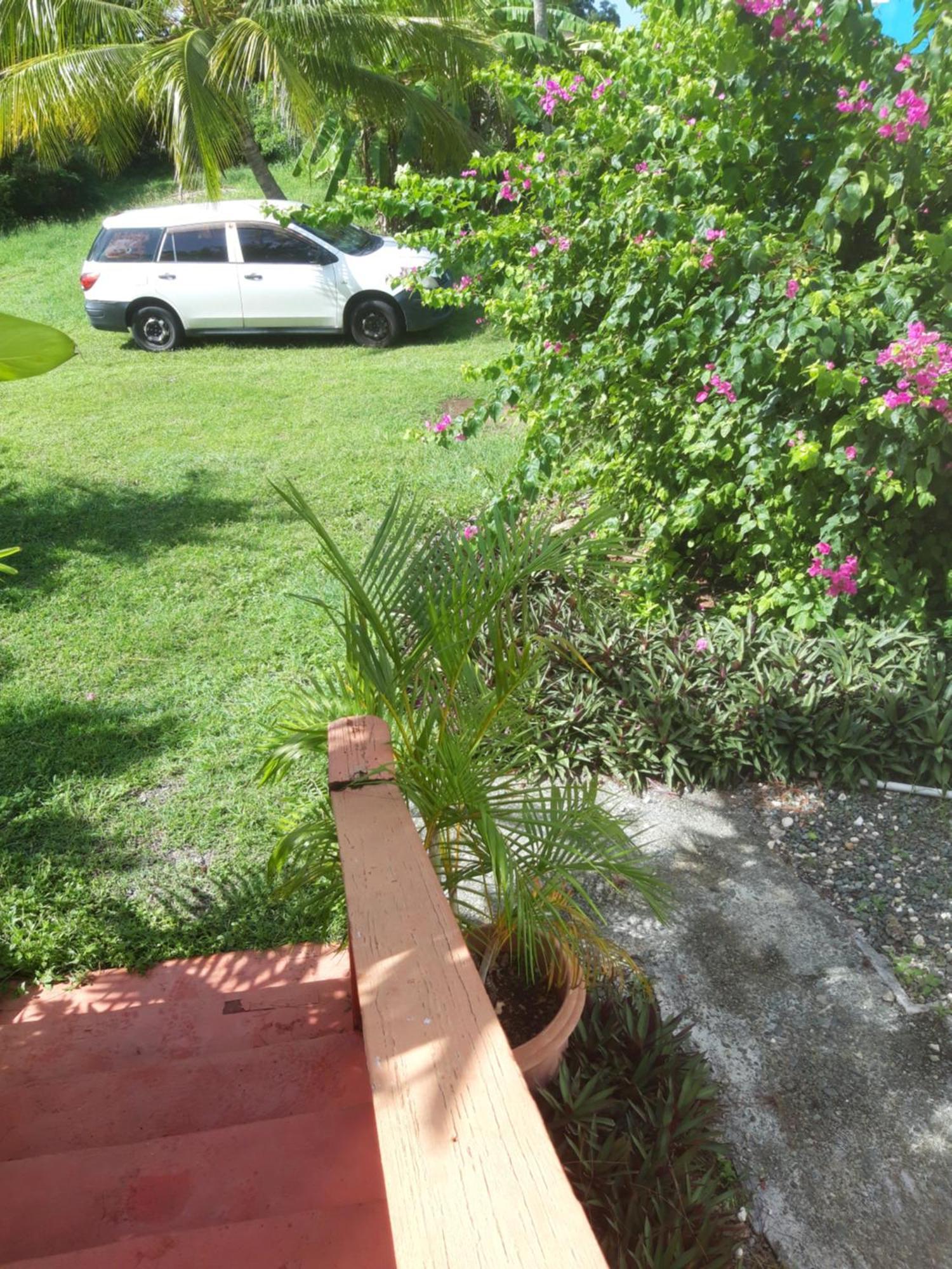 Tranquil Guest House Buccoo المظهر الخارجي الصورة